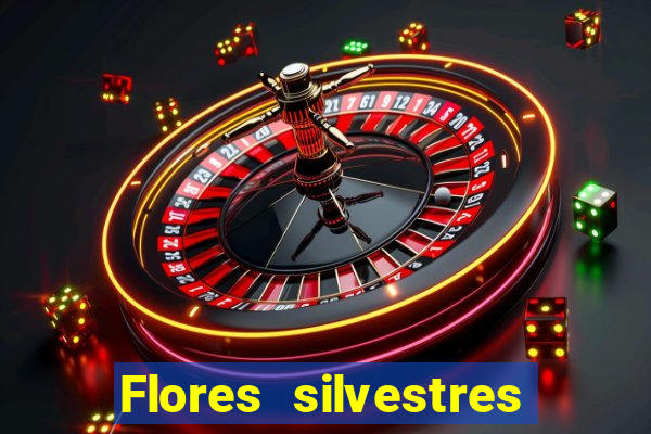 Flores silvestres brasileiras brasileiras flores silvestres nomes e imagens